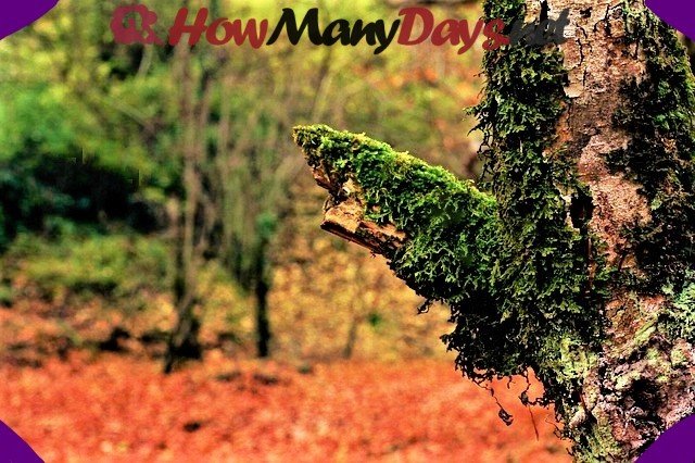 How many days in autumn