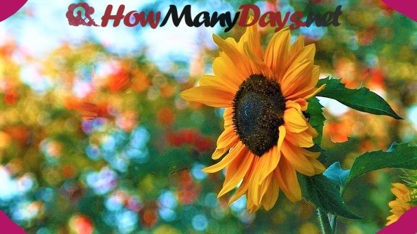 how many days in summer