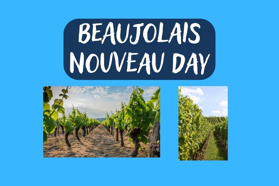 Beaujolais Nouveau Day